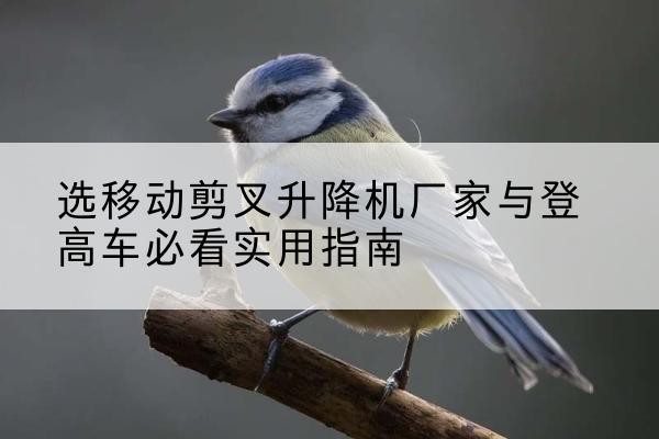 壤塘电动升降机厂家-选移动剪叉升降机厂家与登高车必看实用指南