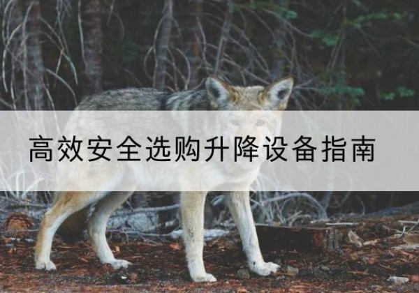 壤塘升降货梯厂家推荐-*安全选购升降设备指南