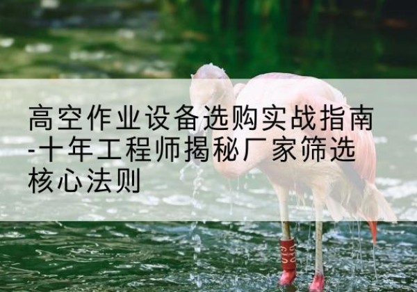 壤塘剪叉式升降机厂家-高空作业设备选购实战指南-十年工程师揭秘厂家筛选核心法则